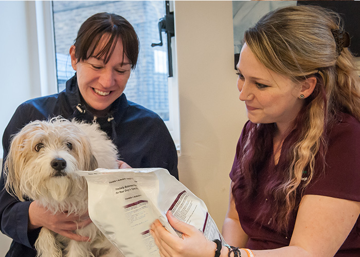 WORKING WITH ANIMALS  