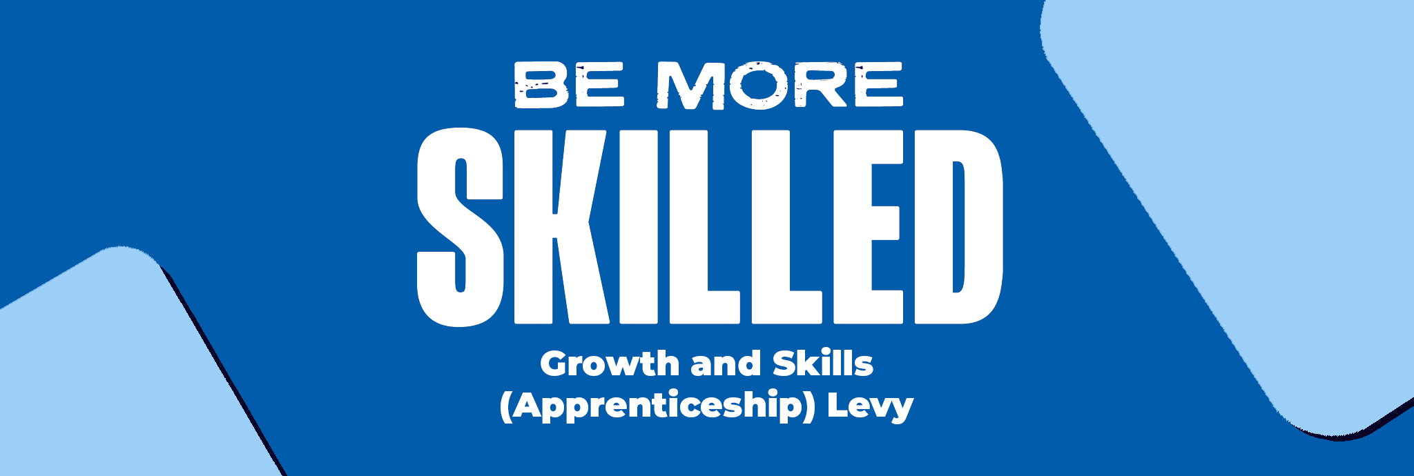 Blue banner showing Be More logo with wording Skilled Growth and Skills Apprenticeship Levy